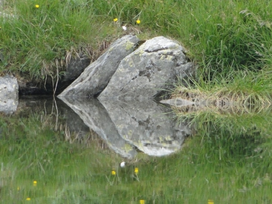 Riflettendo sul lago Avert